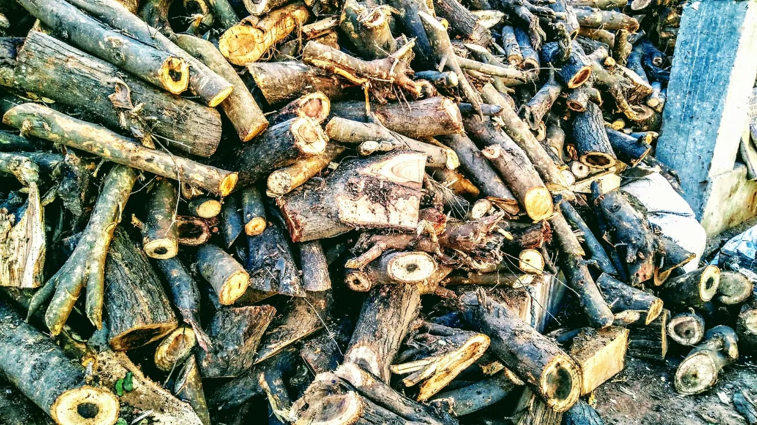 解肌祛风的良方：桂枝汤及其现代临床应用