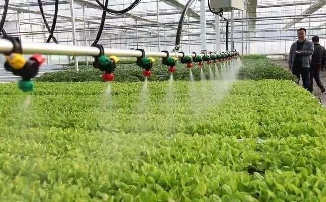 水肥一体化的5种技术模式