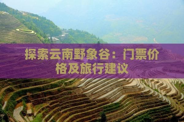 探索云南野象谷：门票价格及旅行建议