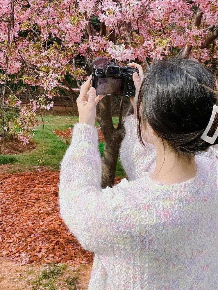 春日通透樱花人像写真拍摄指南