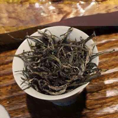 百年老枞：从学名到繁殖方法的全面解析