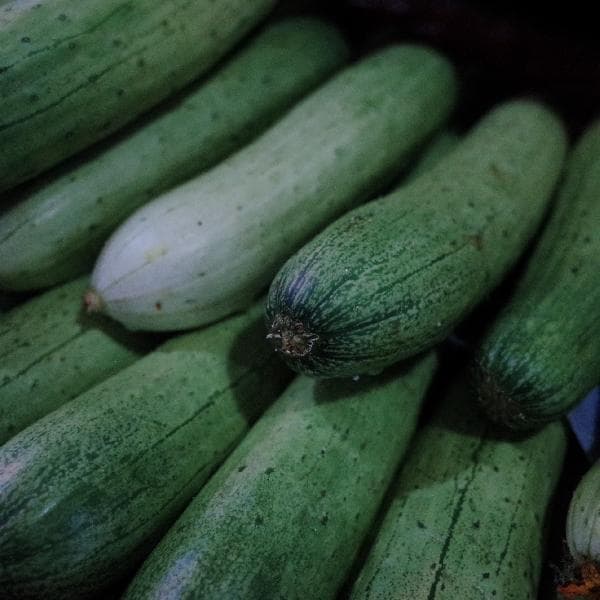 红菜苔的菜花可以吃吗？营养价值与烹饪指南