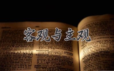 客观 VS 主观：全面审视世界多元视角