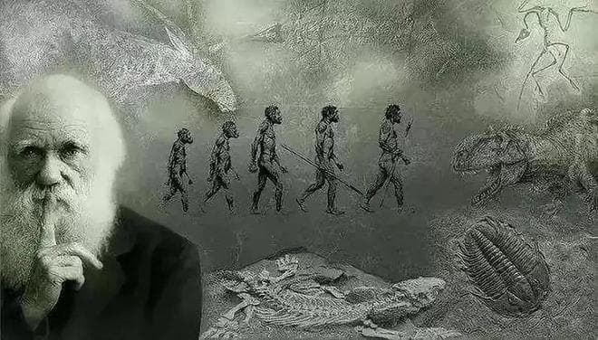 地球上原本没有人类，那么第一个人是怎么来的？