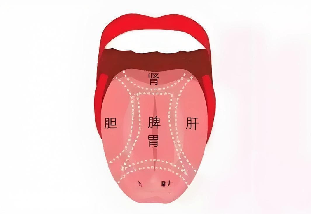 AI看舌：探索舌诊小程序在健康管理中的新应用
