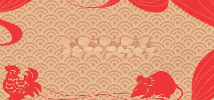 生肖虎与鸡婚配吉凶：相冲还是和谐？
