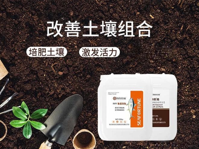 盆花土壤板结怎么办？一文详解应对策略