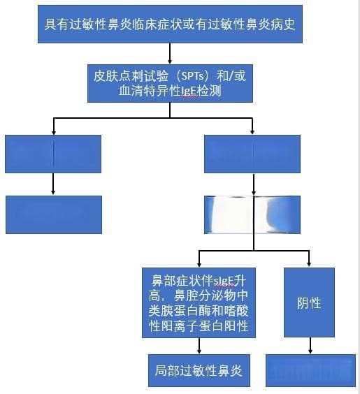 还在用旧版指南？过敏性鼻炎最新指南来了！