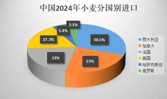 2024年我国小麦、玉米、大米和大豆等粮食作物进口数据分析