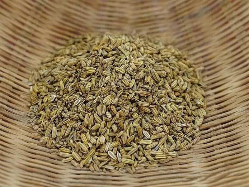 【中药材科普】每天认识一味中草药-小茴香