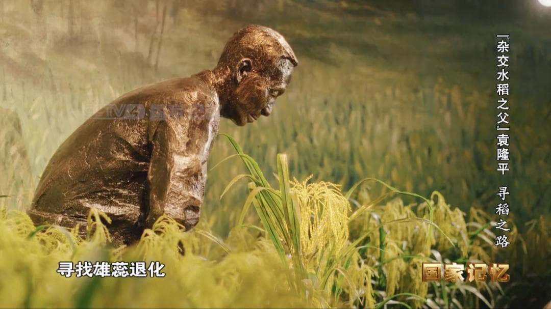 “杂交水稻之父”袁隆平：寻稻之路