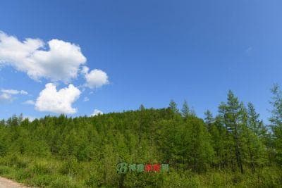 加格达奇区十大旅游景点