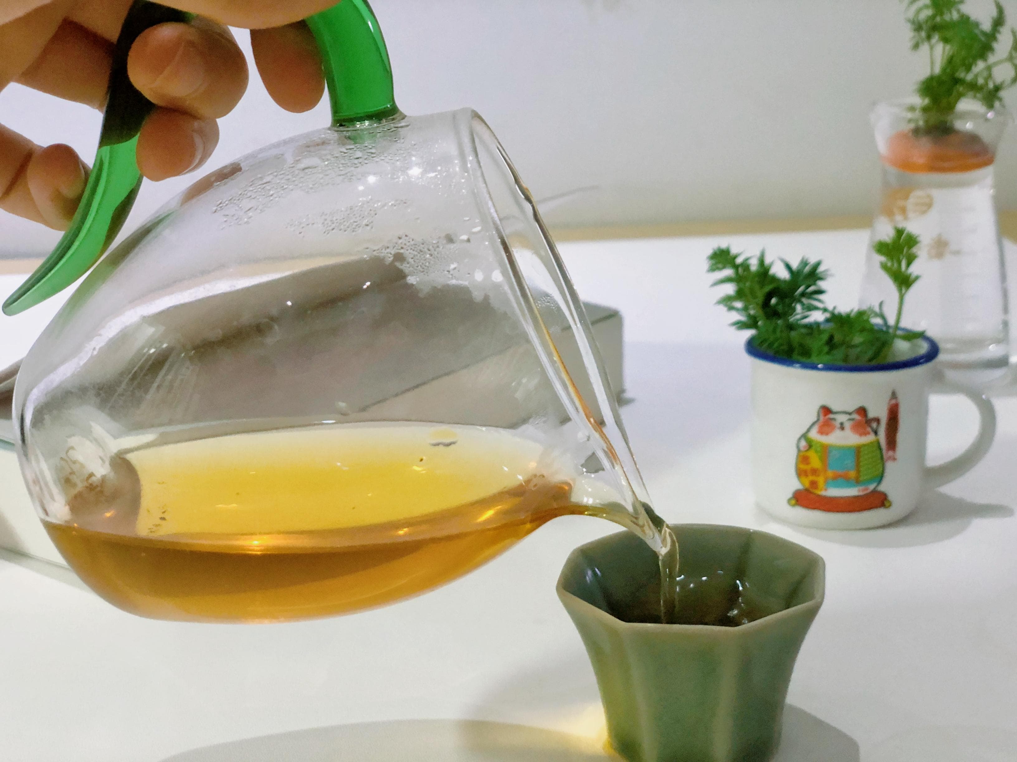 茶和咖啡哪个更适合长期饮用？