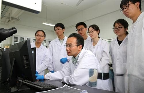 西北农林科技大学等机构在反刍动物角发生发育和鹿茸快速再生研究方面取得重大突破