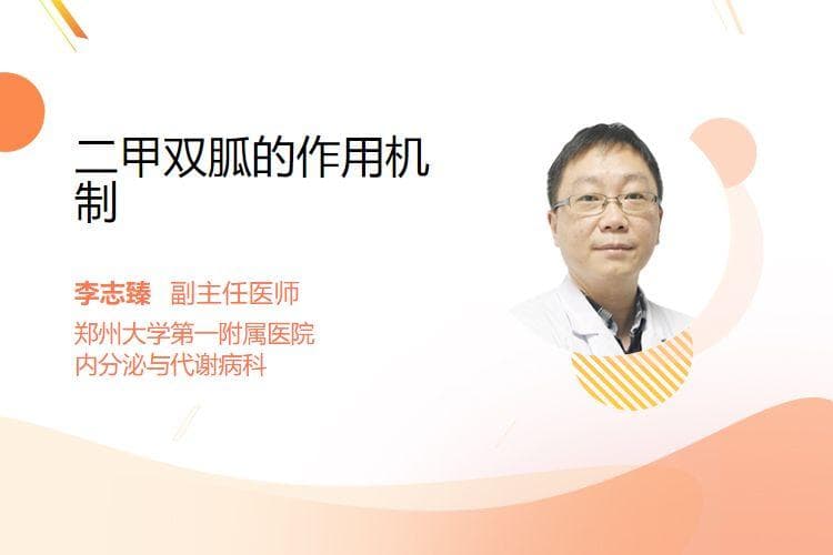 二甲双胍的作用机制