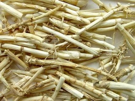 白茅根的功效与作用