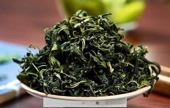 连翘叶茶的功效与作用