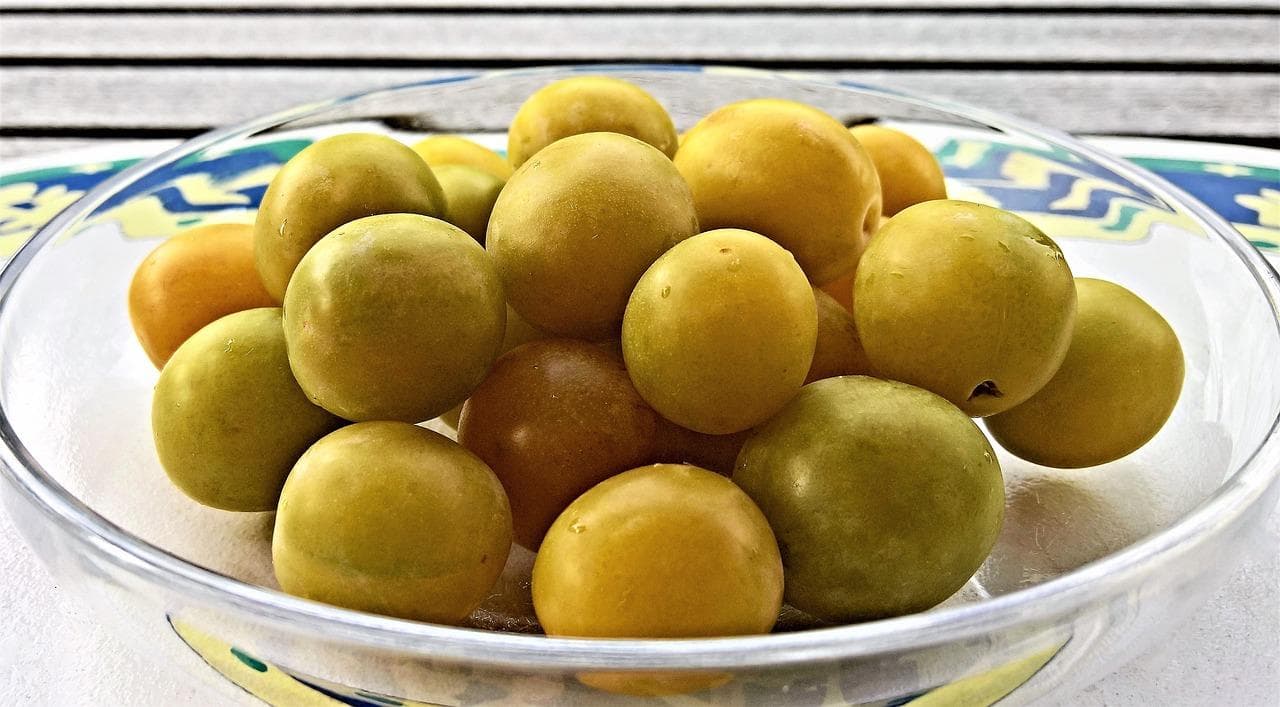 玛卡的食用指南：如何科学健康地享受玛卡的滋补功效