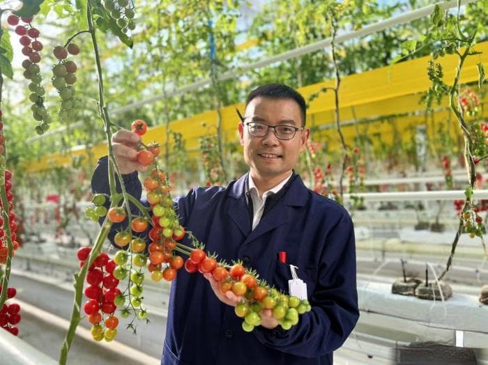 中国科学家新成果开启作物育种新时代
