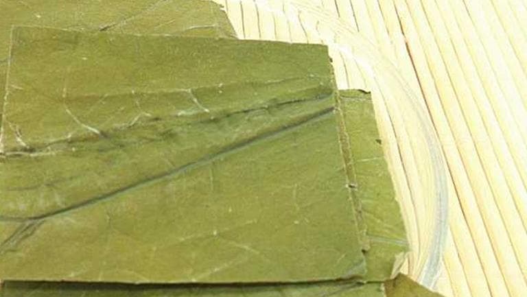 荷叶加什么减肥最快