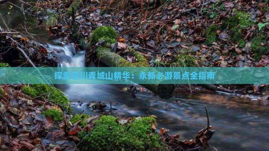 四川青城山精华景点全攻略：天师洞、上清宫等必游之地