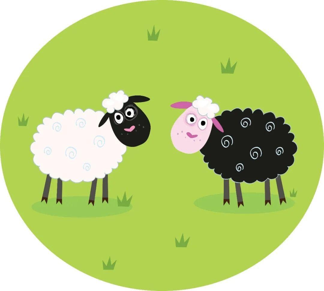 冬季暖心食谱：肾友如何用羊肉打造健康美味