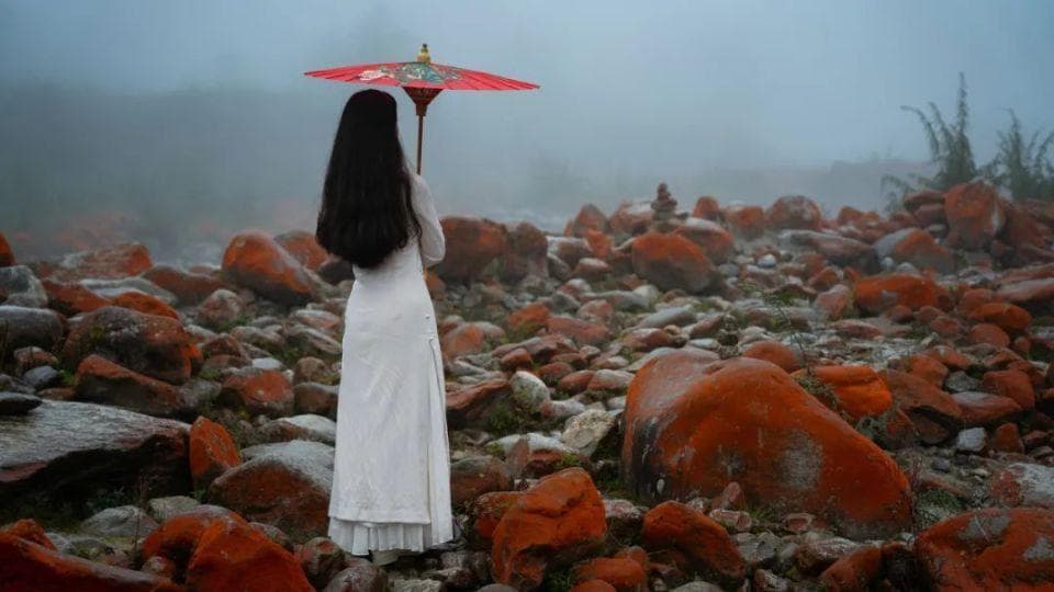 养生到最后，一定是极简的