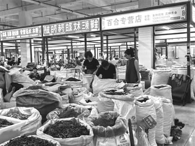 一味中药几多产业 “药都”亳州打造中医药产业高地