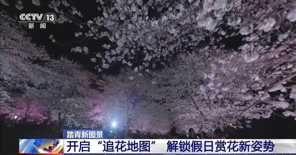 踏青“追花”、乡野观光……清明出游解锁新趋势