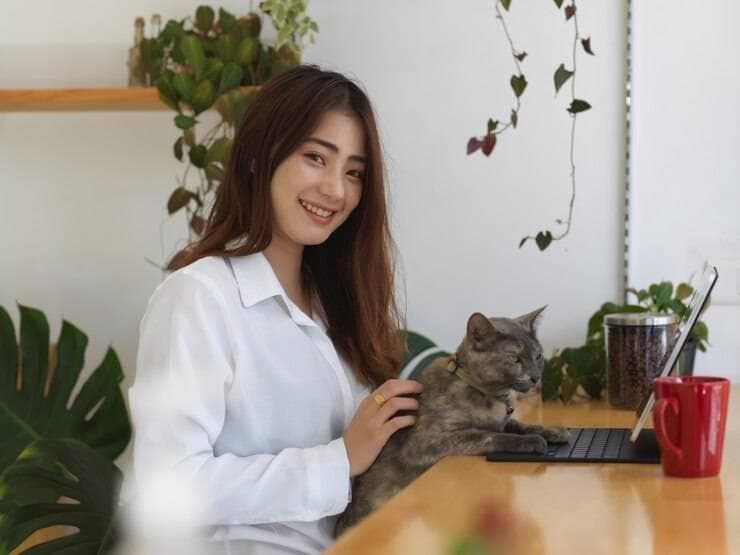 新到家的猫咪是关着好还是散养好？这样做能让猫咪更快适应新环境