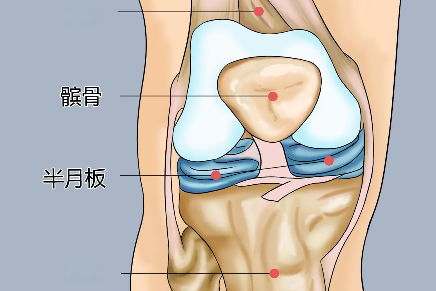 护膝对半月板有保护作用吗