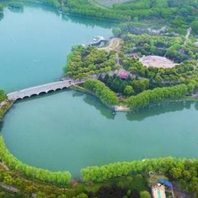 城市生态森林公园：自然体验与和谐共生之旅