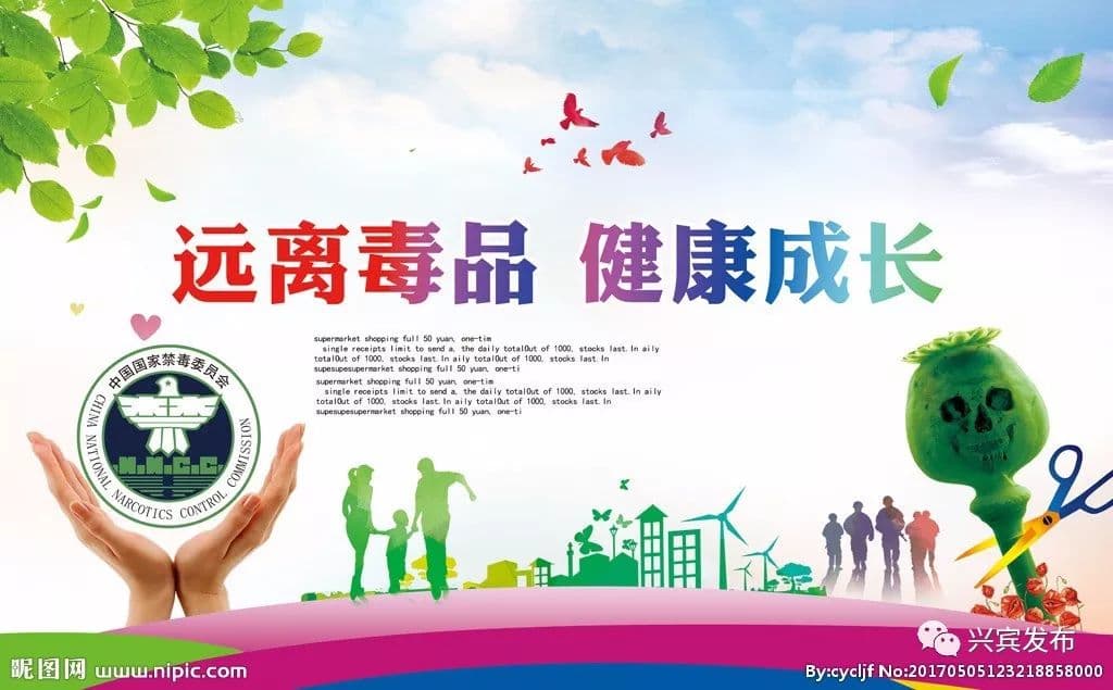 预防吸毒的教育：从对象到内容的全面指南