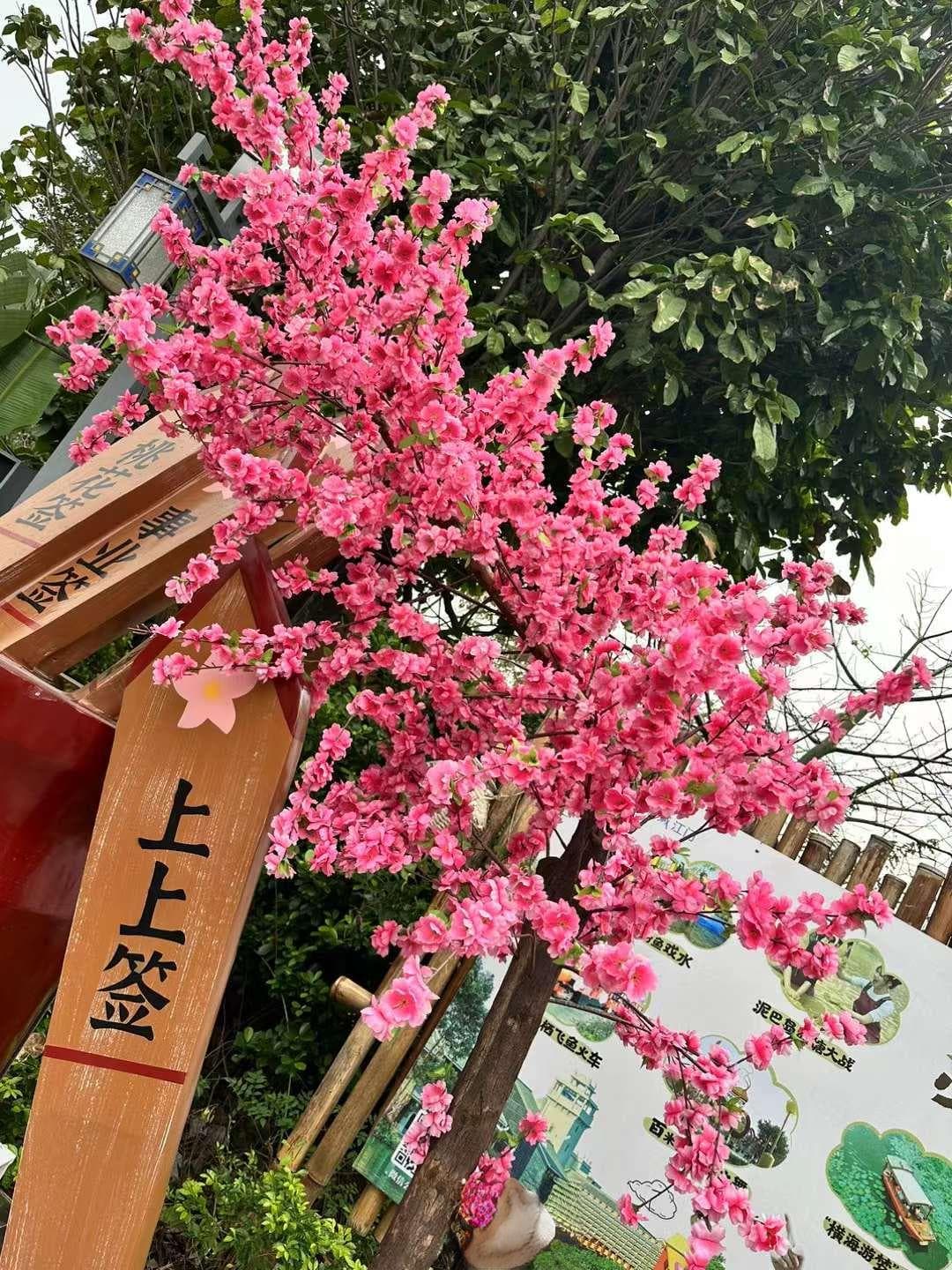 江门十大免费景点攻略：岭南文化与自然景观荟萃