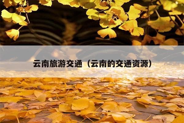 云南旅游交通全攻略：从昆明出发，玩转大理、丽江等地