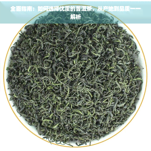 全面指南：如何选择优质的普洱茶，从产地到品质一一解析