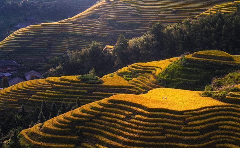 桂林秋季旅游景点推荐