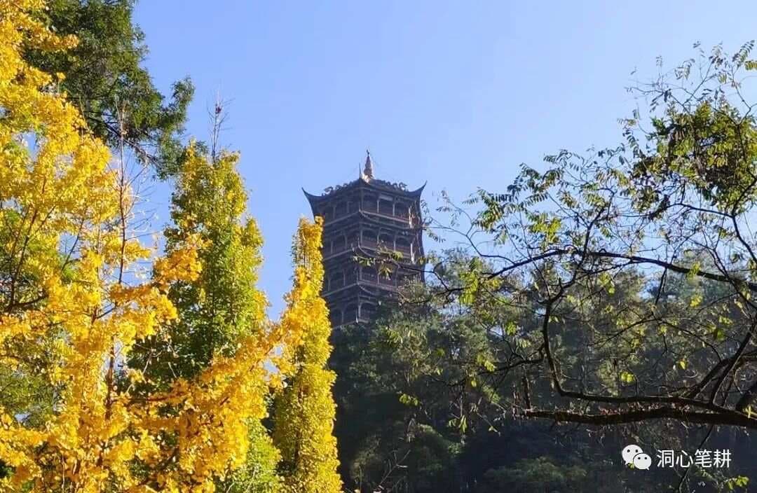 职场举报面前，冷静比解释更重要
