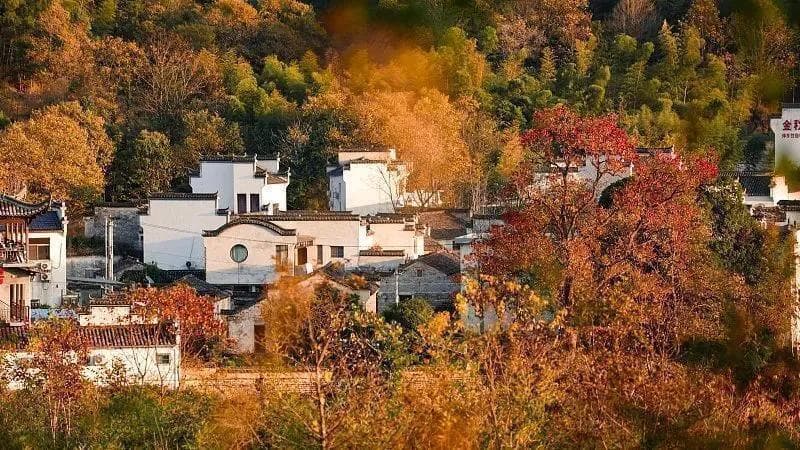 国庆长假避开人潮，就去这20个秋季绝美小众景点