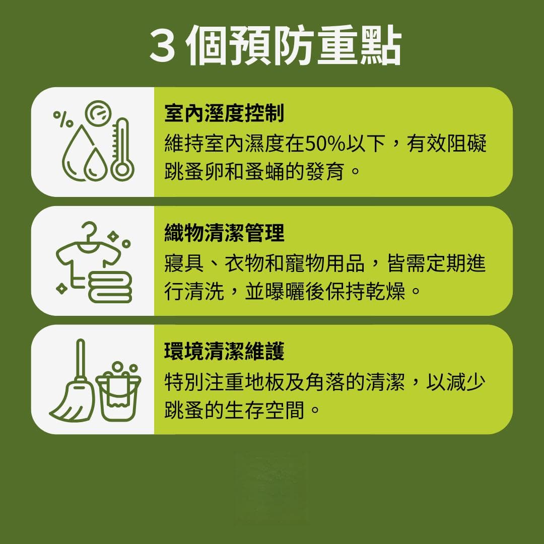 养宠物怕跳蚤来襲？三招徹底防堵