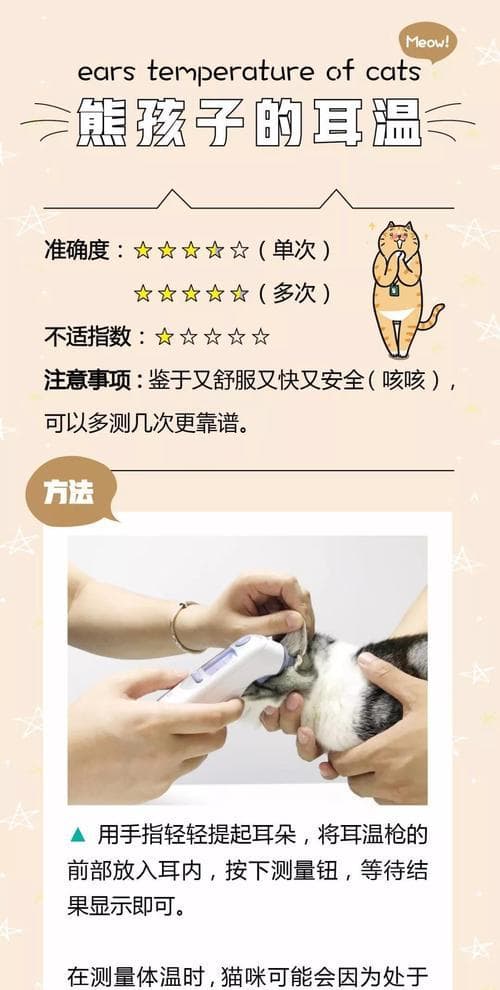 猫咪的正常体温及其健康状况反映（揭开猫咪体温之谜，了解它们的健康状况）