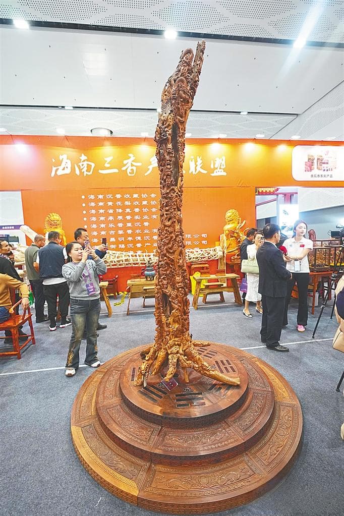黄花梨产业传承与文化创新论坛探讨海南黄花梨创新之路该怎么走