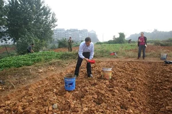 让土壤变得肥沃疏松的方法，深翻土地会更加松软透气