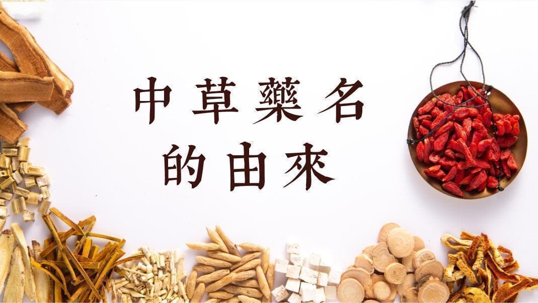 中草药名的由来 | 牛膝：躬耕垦地没牛膝