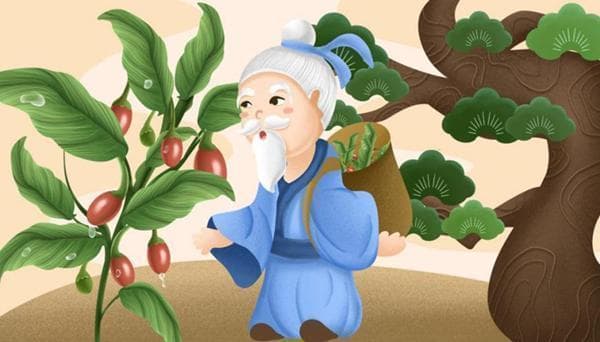 【中药科普】药食两用的甘饴之品——罗汉果