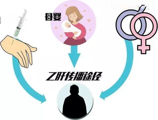 聚餐完发现同桌有乙肝，会中招吗？