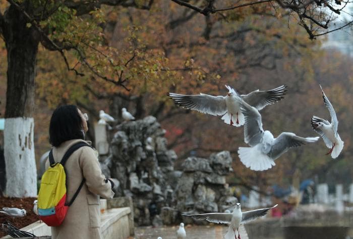 云南昆明擦亮历史名城招牌 推动翠湖与周边22个博物馆文旅融合