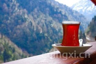 节气对茶叶，节气与茶文化