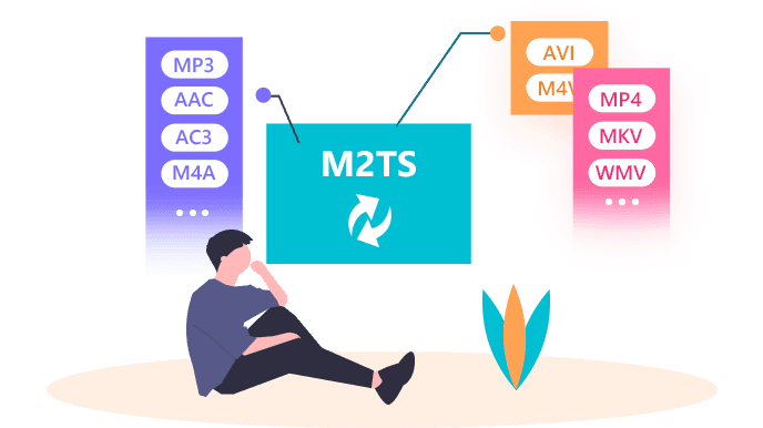 M2TS 和 TS 有什么区别？它们在哪些方面各有优势？