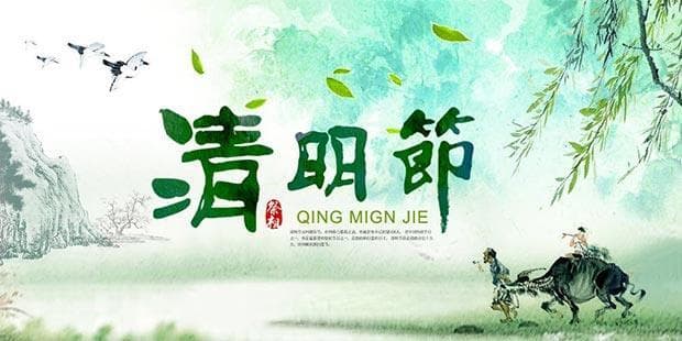 清明节扫墓用什么花？环保扫墓用花指南